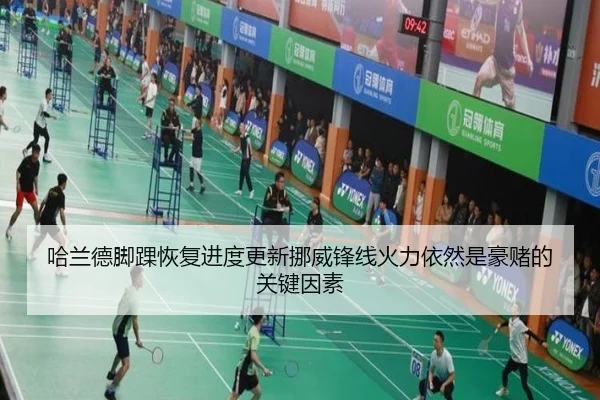 哈兰德脚踝恢复进度更新挪威锋线火力依然是豪赌的关键因素